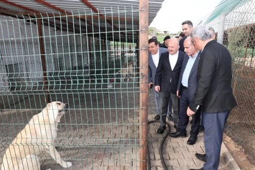 Adıyaman’da sahipsiz sokak hayvanlarının daha iyi koşullarda yaşaması için önemli projelere imza atılmış