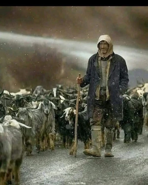 HAYAT DOLU BİR ÖĞÜT: GÜÇLÜ OL, UMUDU BIRAKMA 