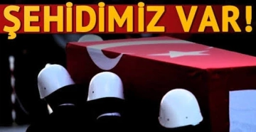 Şehindin Gaziantep var!..